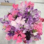 Summer Show - Eastcote Horticultural Society